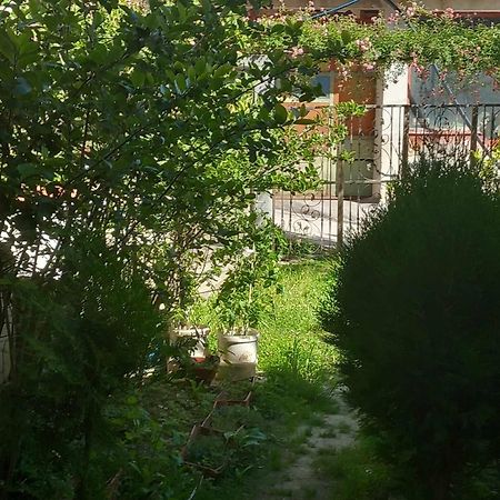 Apartman Turkana 1 SJJ Buitenkant foto