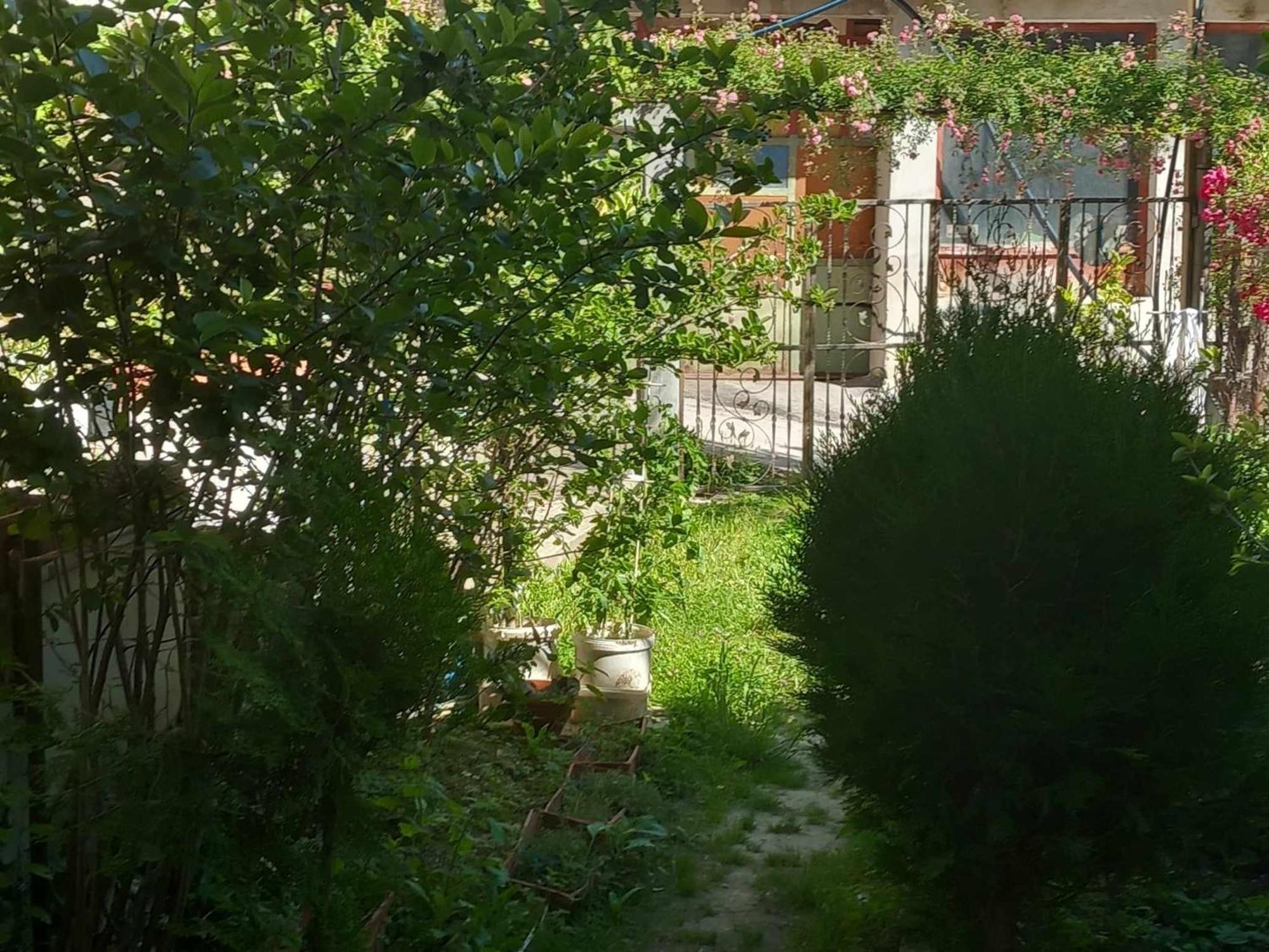 Apartman Turkana 1 SJJ Buitenkant foto
